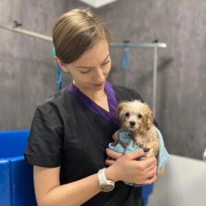 Jak przyzwyczaić psa do suszarki? 5 Groomer podczas pielęgnacji szczeniaka w salonie groomerskim Psiemiany w Warszawie Ursus
