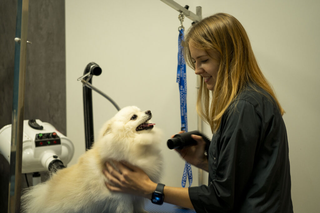 Dlaczego stworzyłam Psiemiany? 2 Groomer podczas spokojnego suszenia psa w salonie groomerskim Psiemiany w Warszawie Ursus